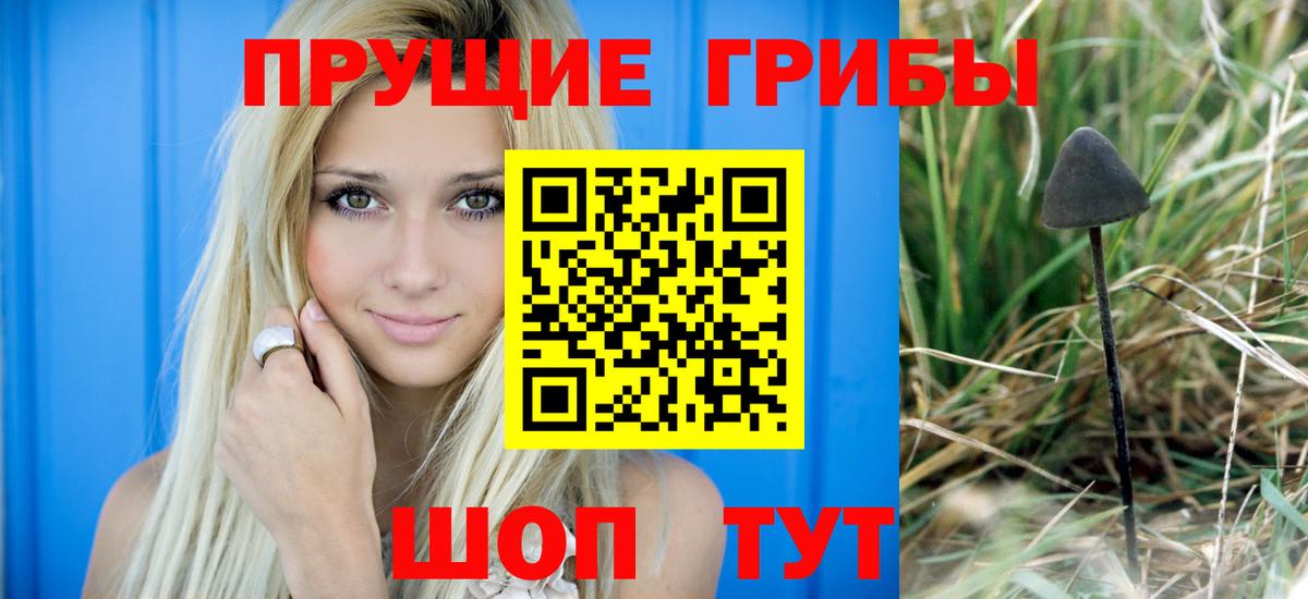 Галлюциногенные грибы MAGIC MUSHROOMS Соликамск