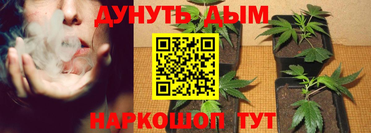 Соликамск  Каннабис Bruce Banner  Бошки марихуана индика  Вход с VPN 